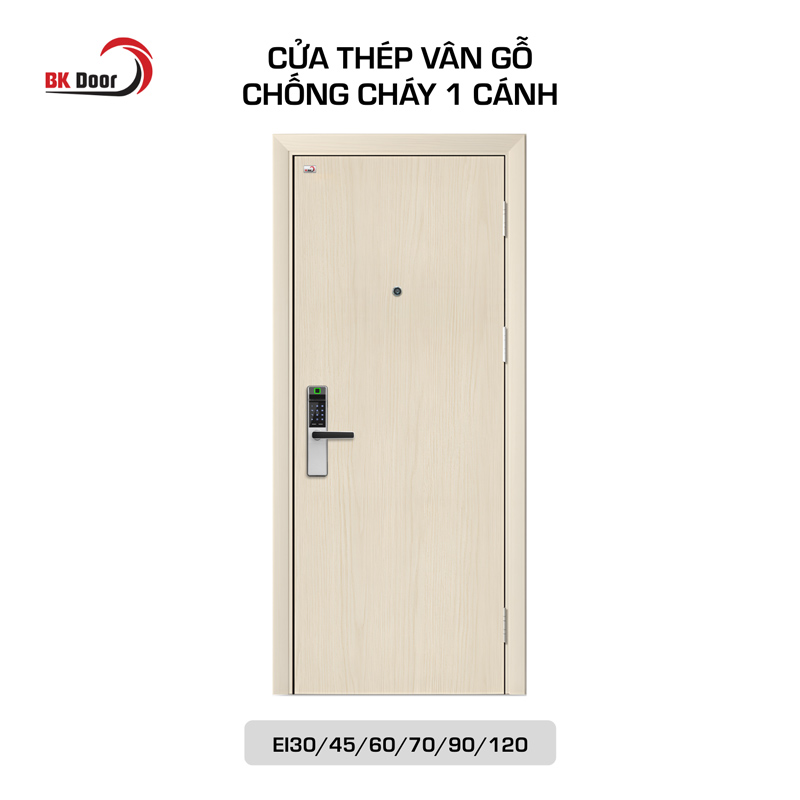 Cửa thép vân gỗ chống cháy 1 cánh