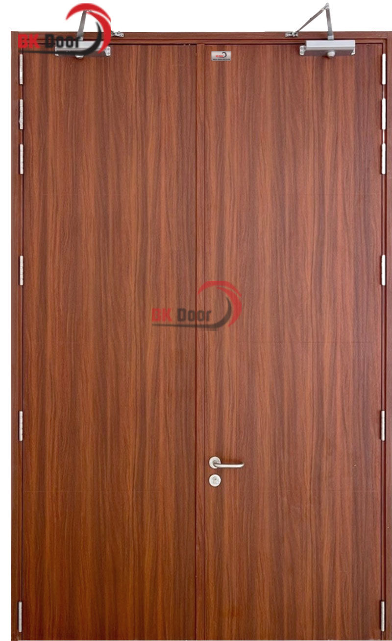 Mẫu cửa thép vân gỗ 2 cánh đều màu sáng 