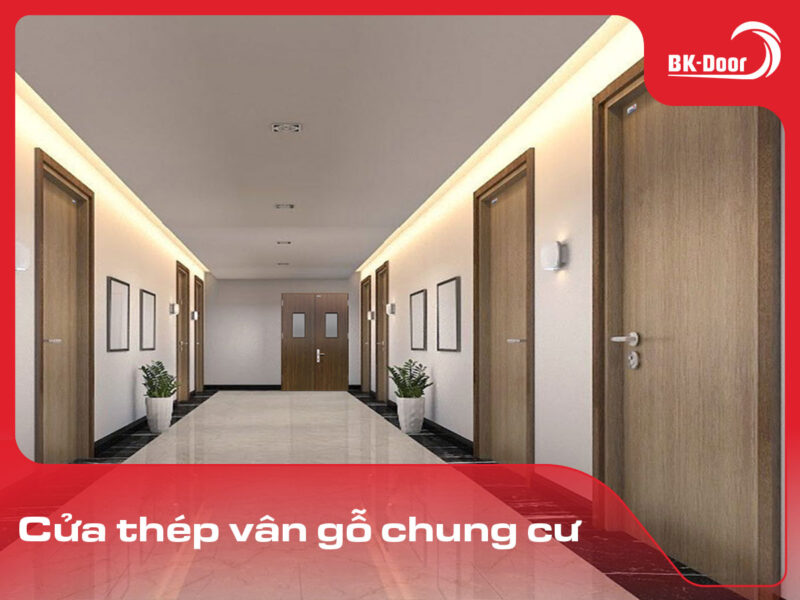 cửa thép vân gỗ chung cư