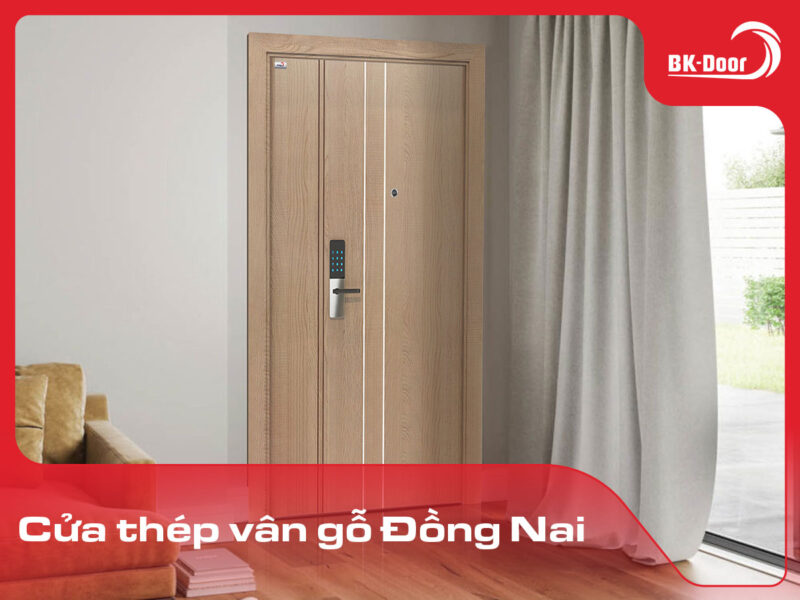 cửa thép vân gỗ Đồng Nai