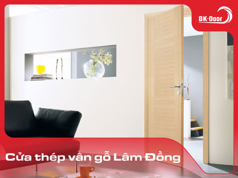 cửa thép vân gỗ tại Lâm Đồng