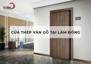 cửa thép vân gỗ tại lâm đồng