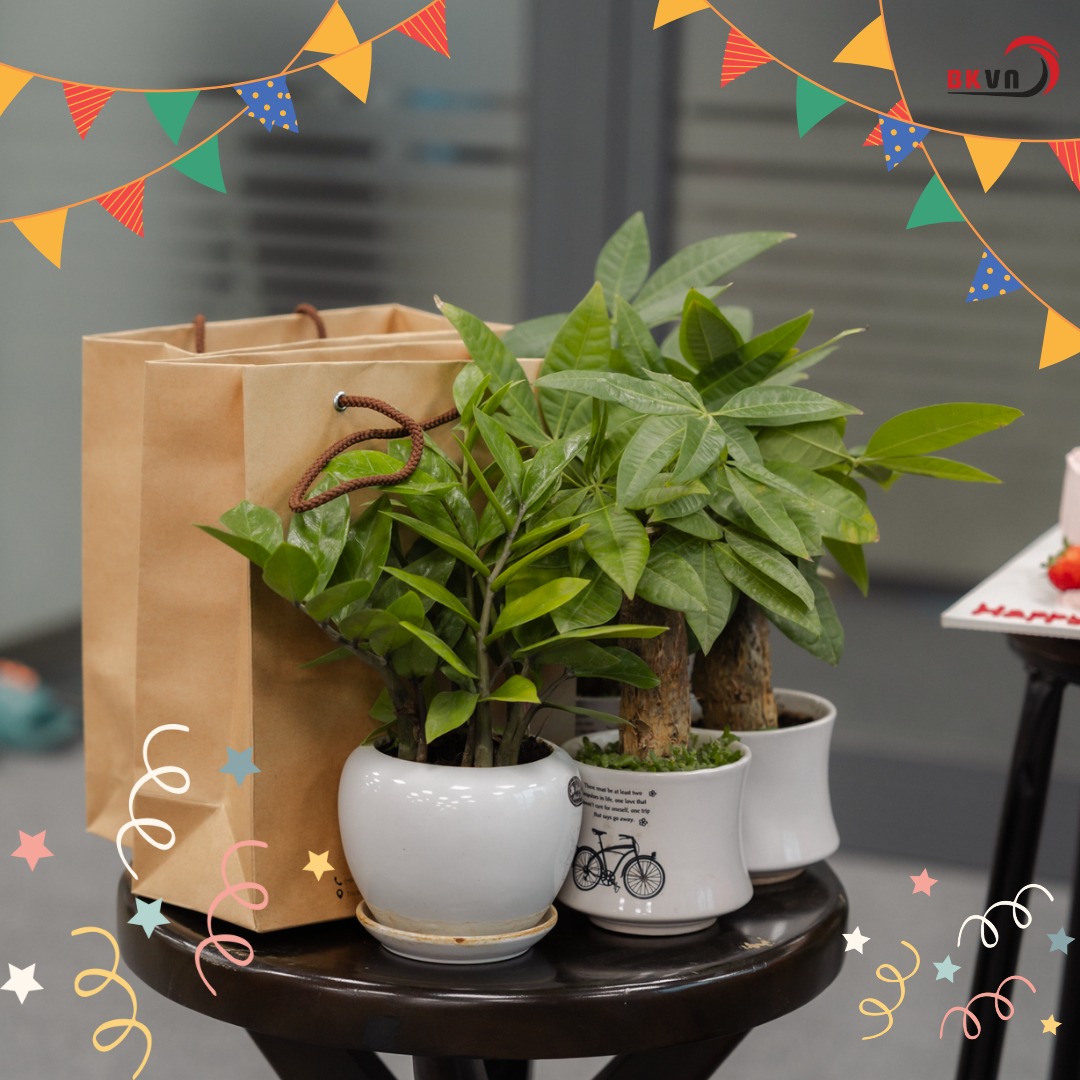 625673514 876205872086881 9194801878931357336 n