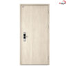 cửa thép vân gỗ 1 cánh bkd1-003