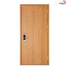 cửa thép vân gỗ 1 cánh bkd1-004