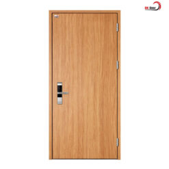 cửa thép vân gỗ 1 cánh bkd1-004