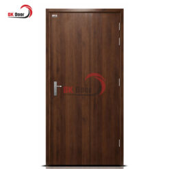 Cửa thép vân gỗ BKD1 - 001