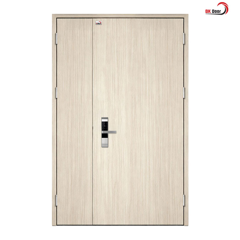 Cửa thép vân gỗ 2 cách lệch - BK Door - Ảnh 3